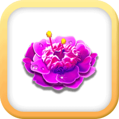สัญลักษณ์ ดอกไม้สีชมพู